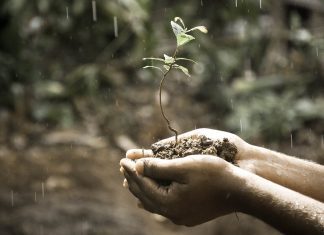 Een Nieuwe Schepping