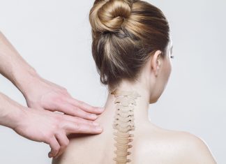 The Human Spine
